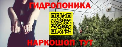 стафф Краснокаменск