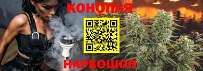 mdpv Краснознаменск