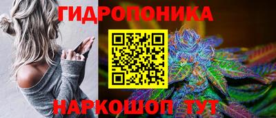 Альфа ПВП Краснодар