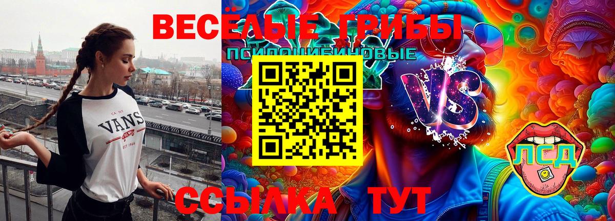 Псилоцибиновые грибы ЛСД  Вход с VPN  Калач-на-Дону 